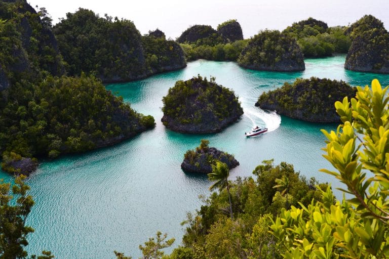 ekspedisi jakarta ke papua